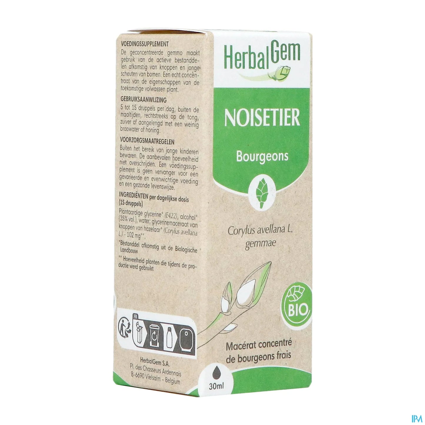 Macérât de Bourgeons Noisetier Bio 30 mL
