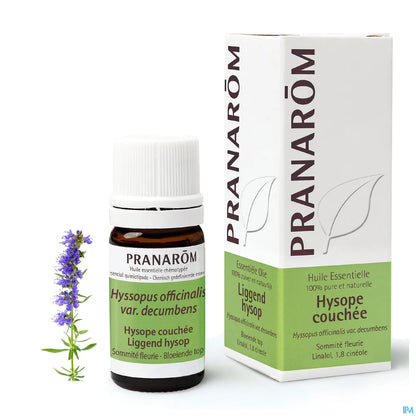Huile Essentielle Hysope Couchée 5 mL