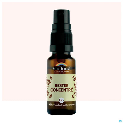 Stay Focused Spray 20 mL