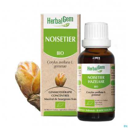 Macérât de Bourgeons Noisetier Bio 30 mL