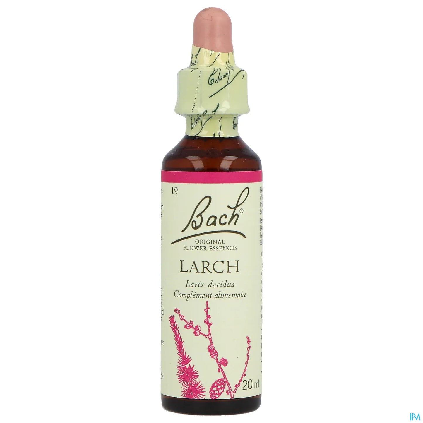 Originale n. 19 Larice 20ml