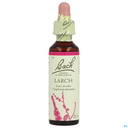 Originale n. 19 Larice 20ml