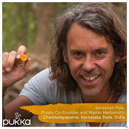 Infusion Or de Curcuma 20 Sachets