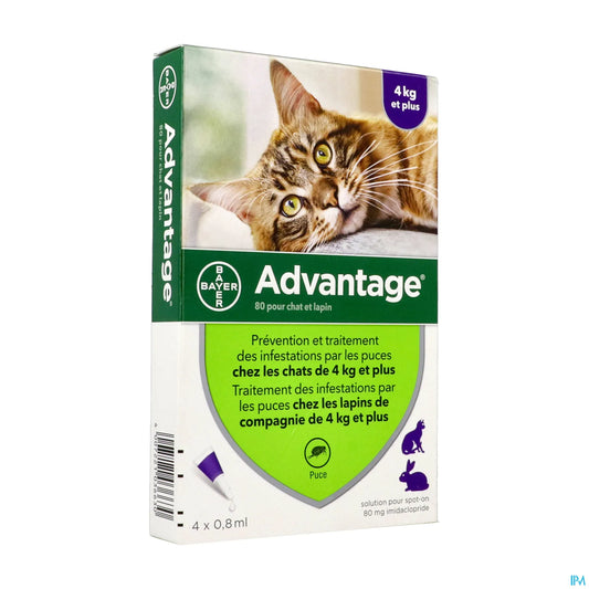 Advantage 80 Chat Lapin 4 Pipettes de 0,8 mL