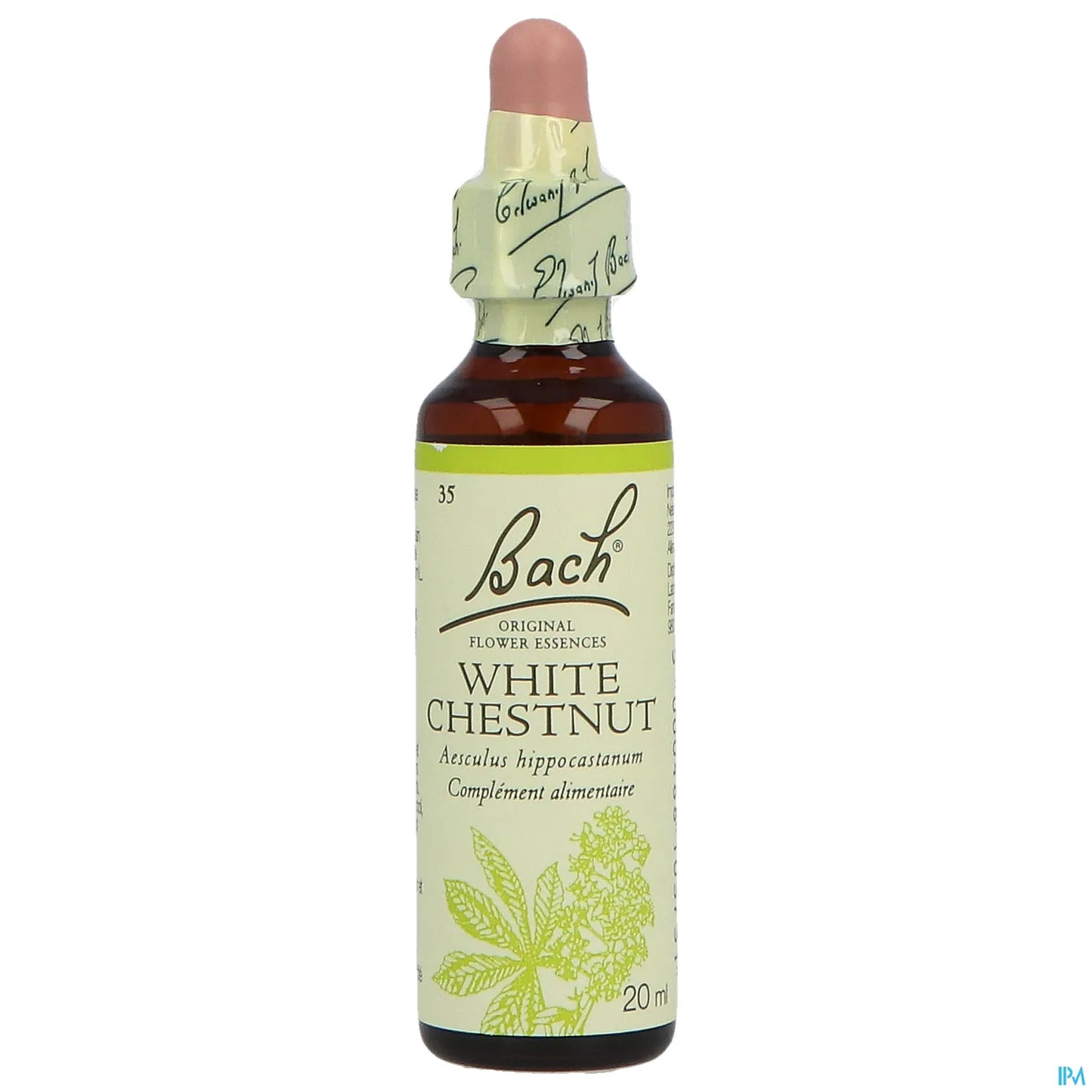White Chestnut 20mL