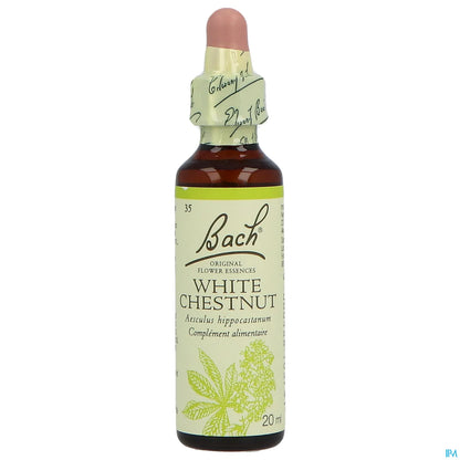 White Chestnut 20mL