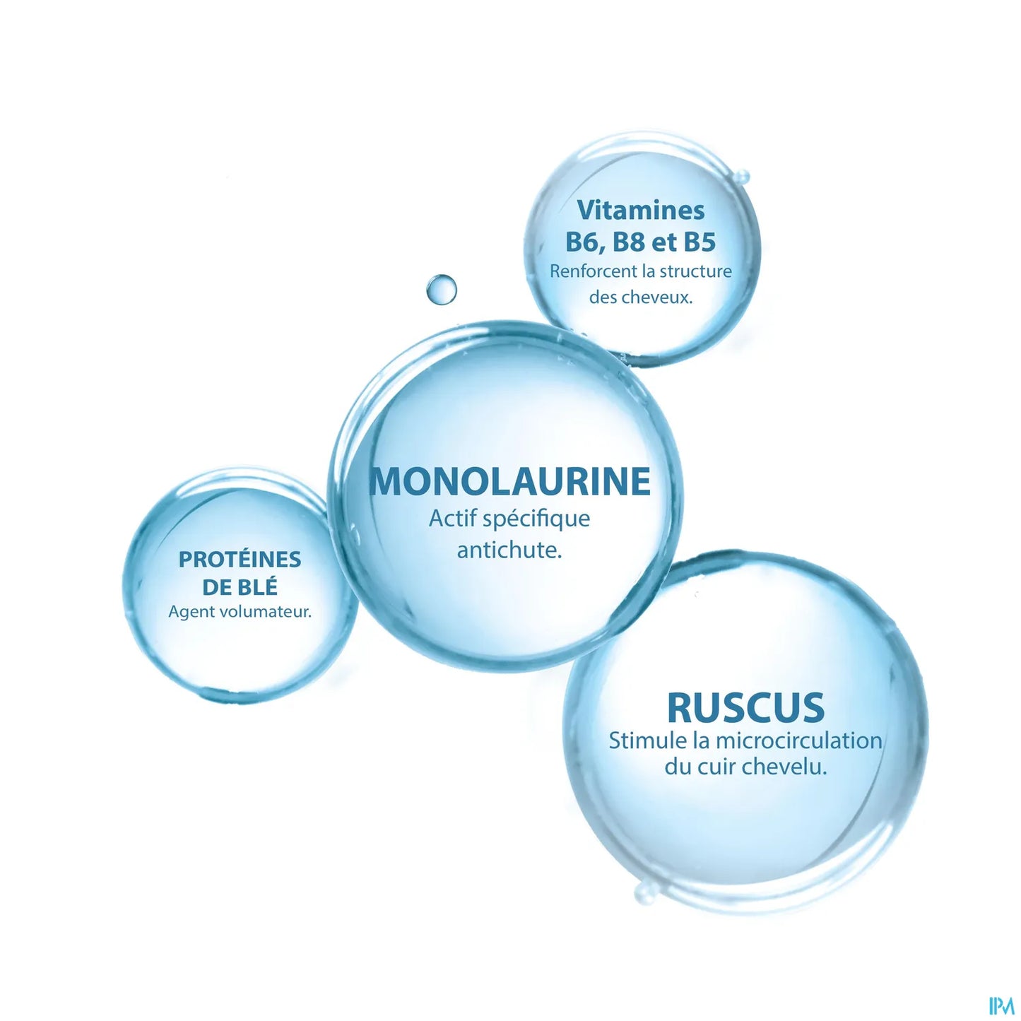 Anaphase Plus Shampooing Complément Anti Chute 400 ml