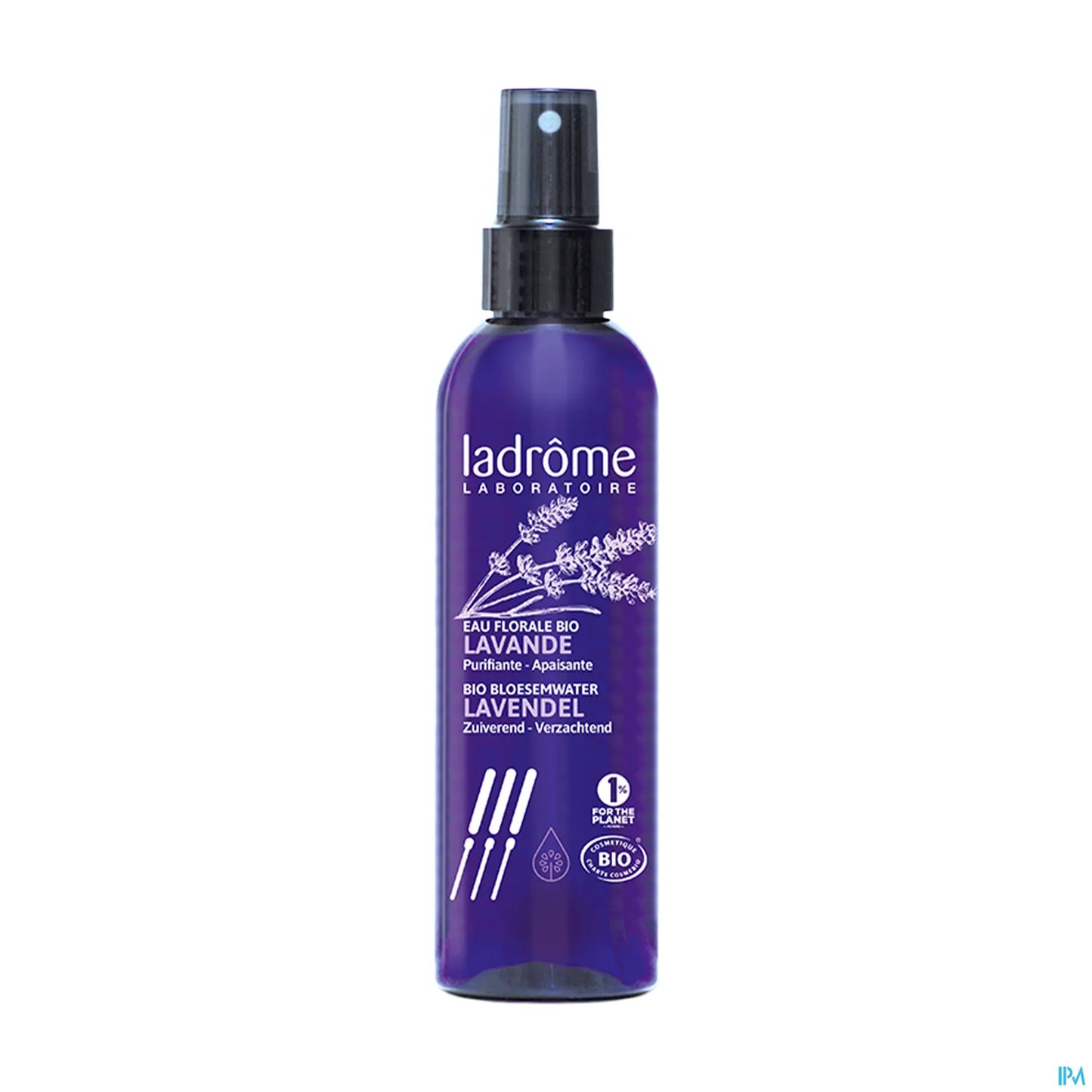 Lavender Floral Water Top 200ml