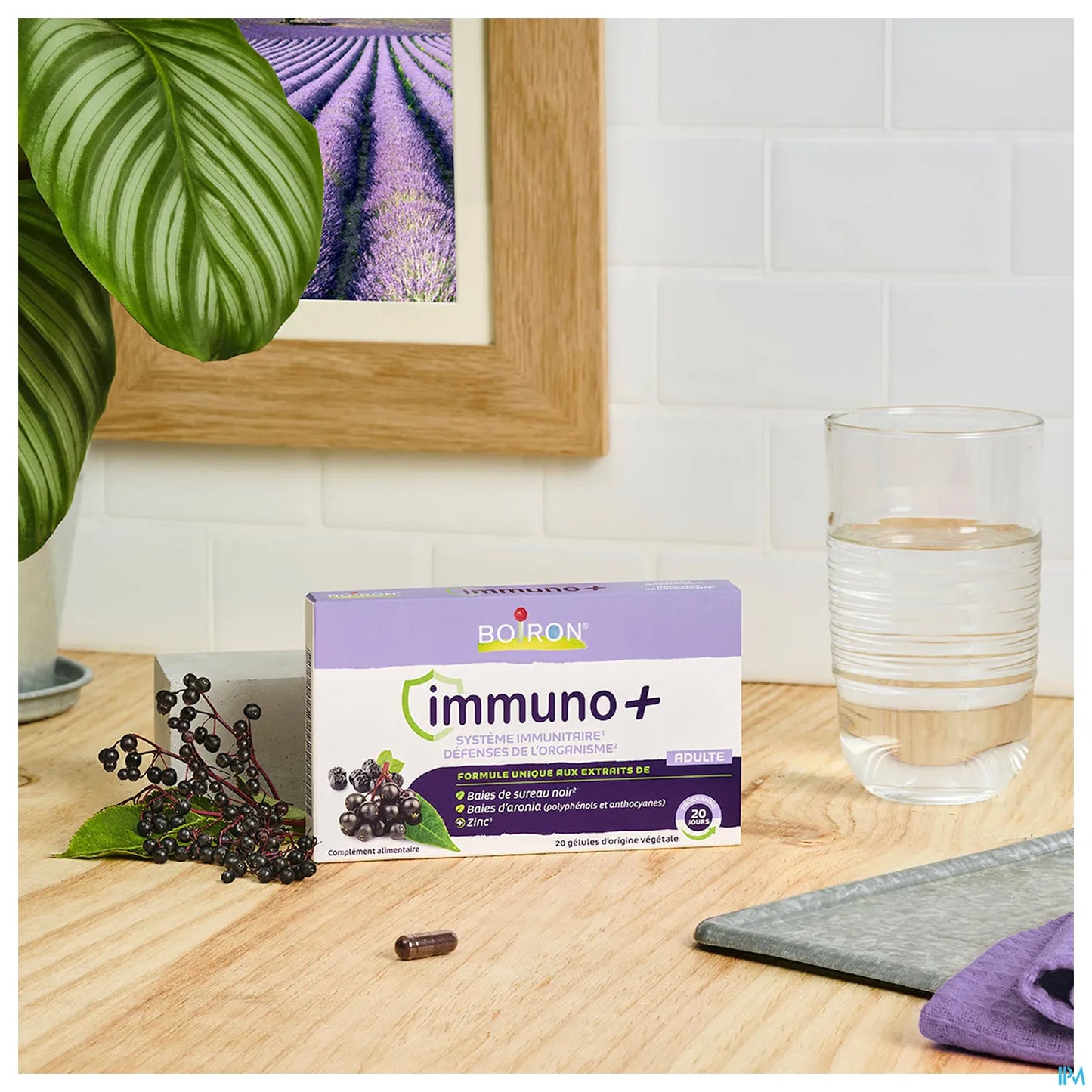 Immuno+ Adulte 20 Gélules