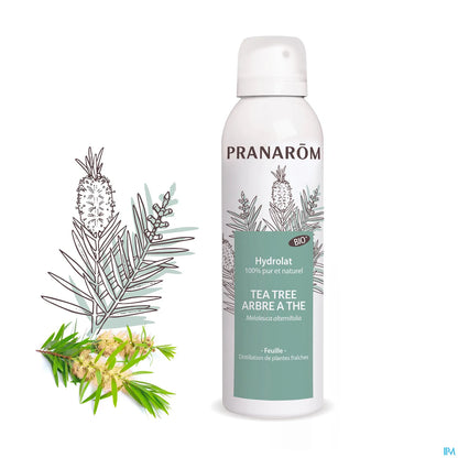 Hydrolat Tea Tree Bio 150 mL