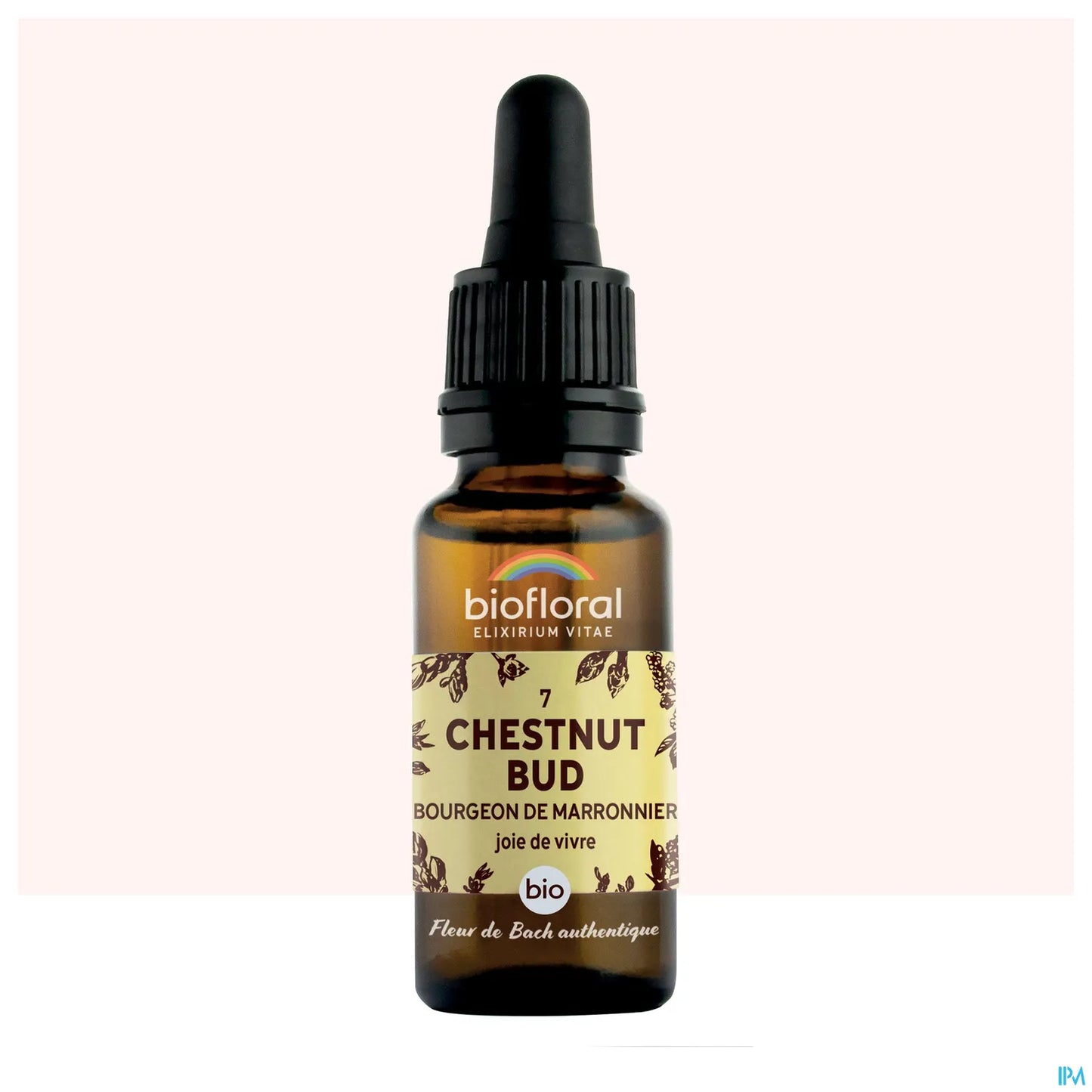 Chestnut Bud Bourgeons de Marronnier 20 mL