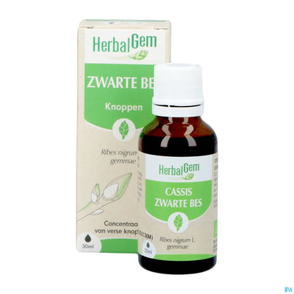 Macerato madre di ribes nero biologico 30 ml