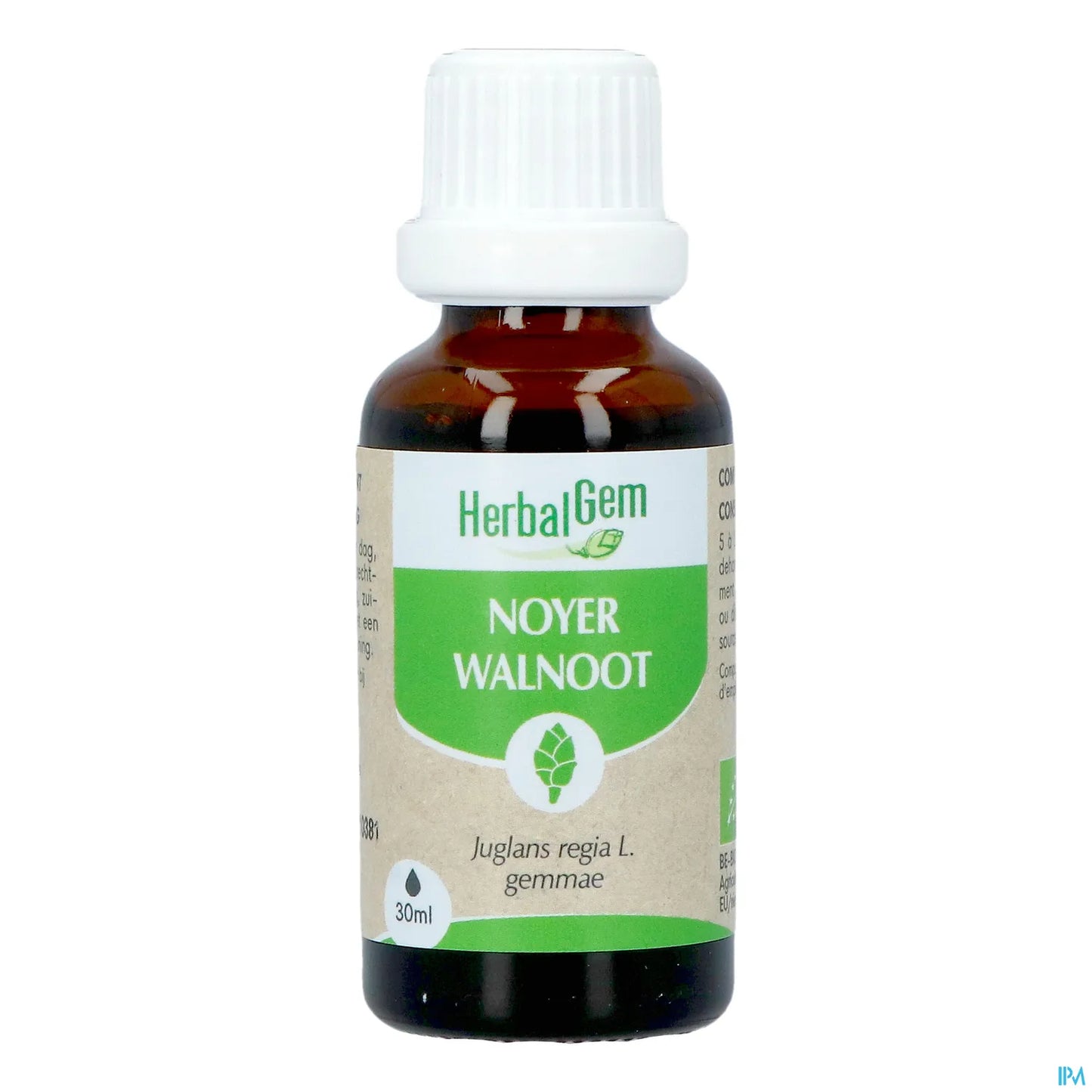 Macérât Mère Noyer 30 mL