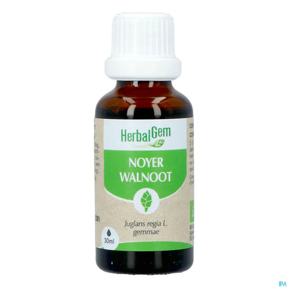 Macérât Mère Noyer 30 mL