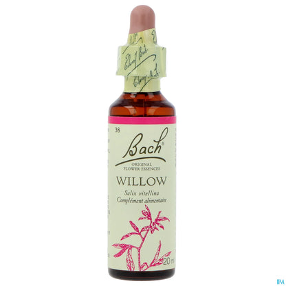 Willow 20 ml