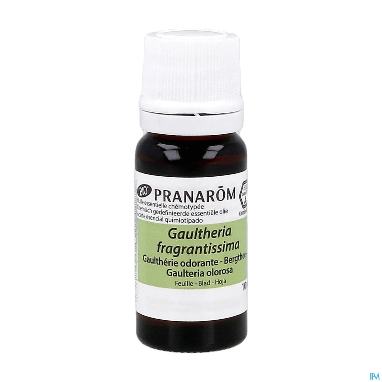 Olio essenziale di Gaultheria foglia biologica 10 ml