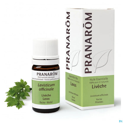 Huile Essentielle Livèche 5 mL