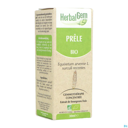 Macérat Mère Prêle Bio 30 mL