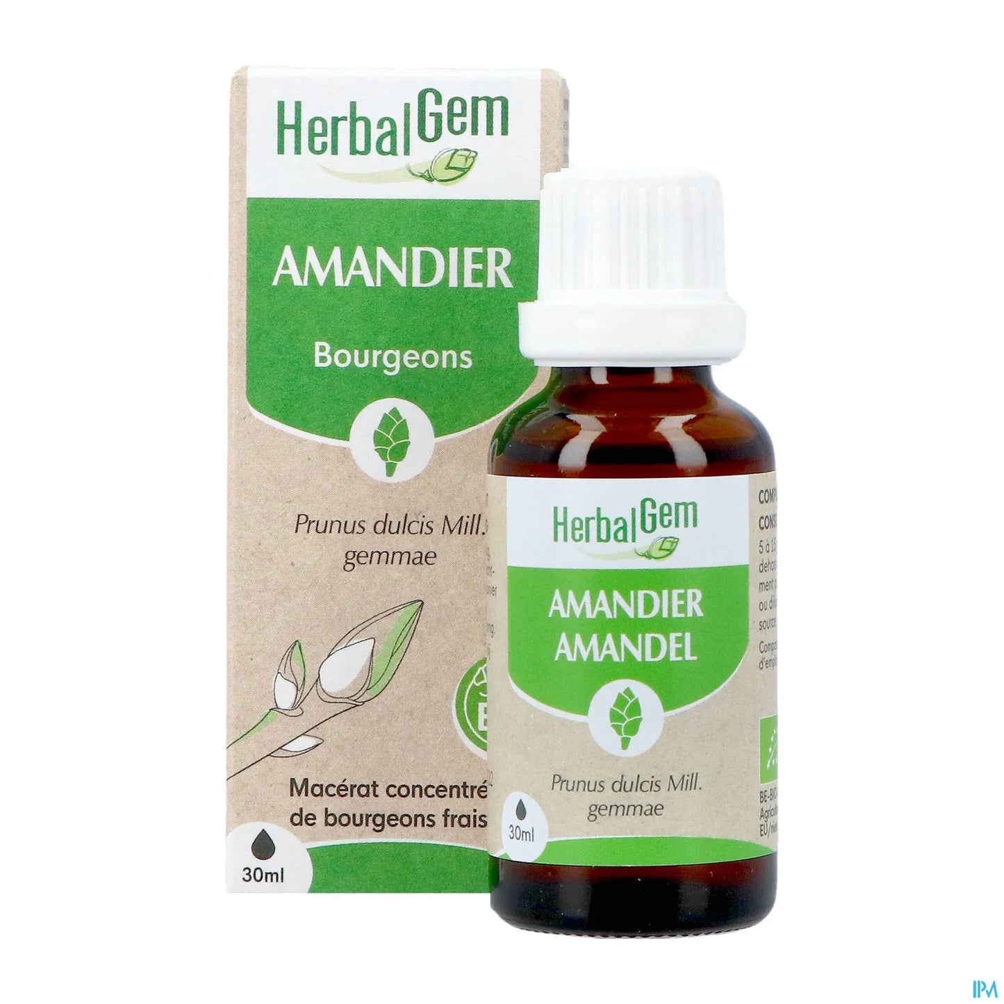 Macérat Mère Amandier Bio 30 mL