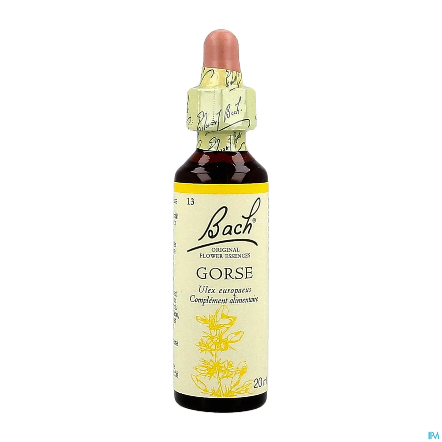 Gorse originale 20ml