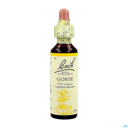 Gorse originale 20ml