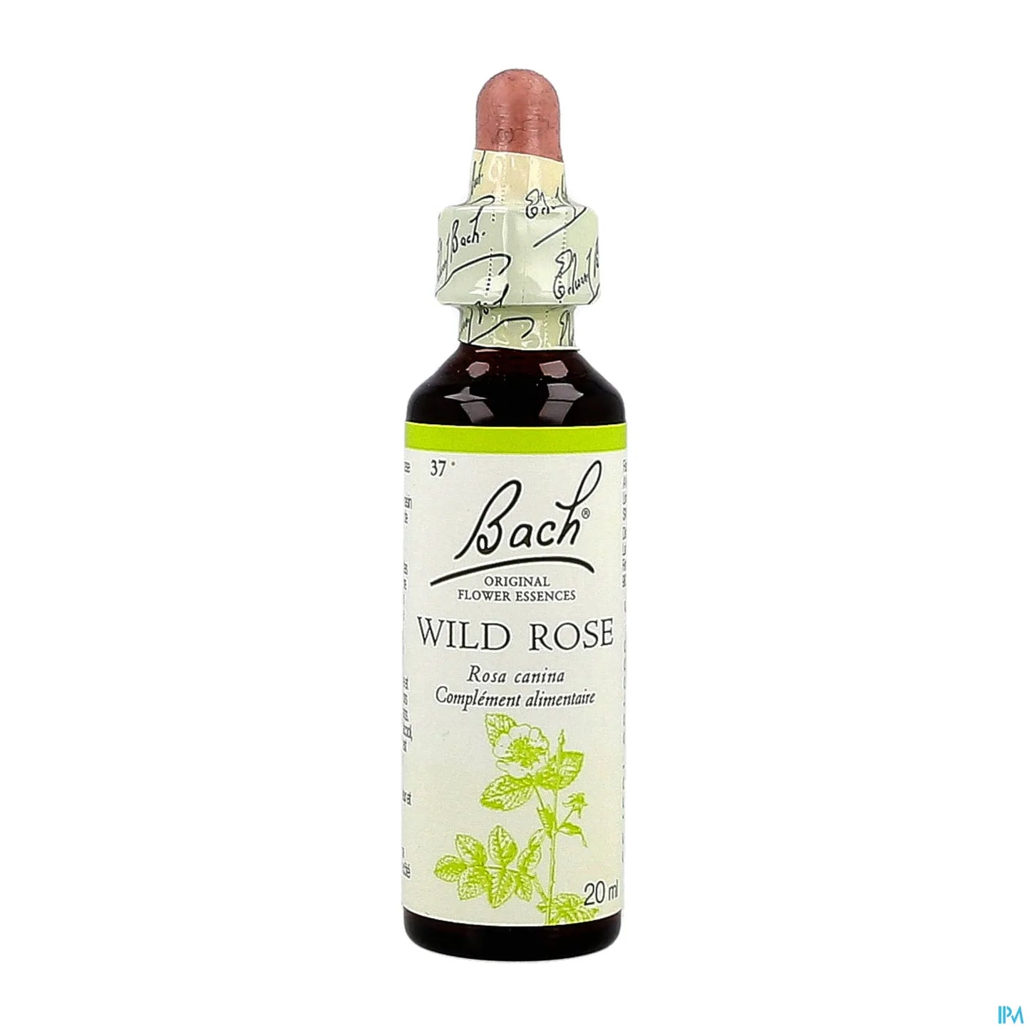 Rosa selvatica n. 37 20 ml