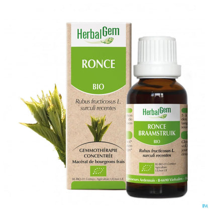 Macérât Mère Ronce Bio 30 mL