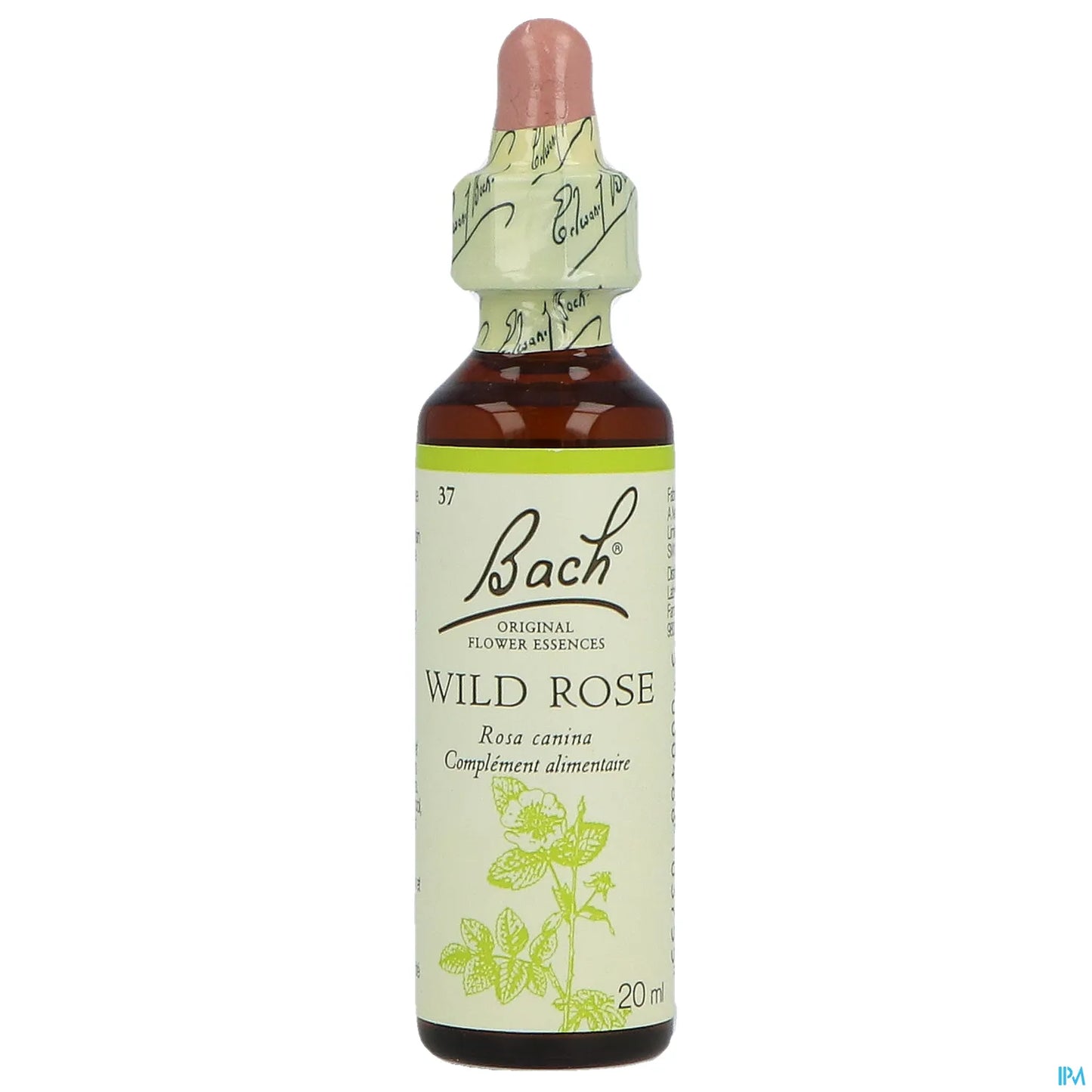 Rosa selvatica n. 37 20 ml