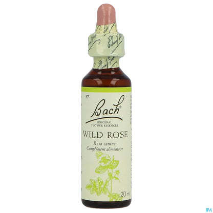 Rosa selvatica n. 37 20 ml