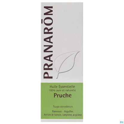Huile Essentielle Pruche 5ml