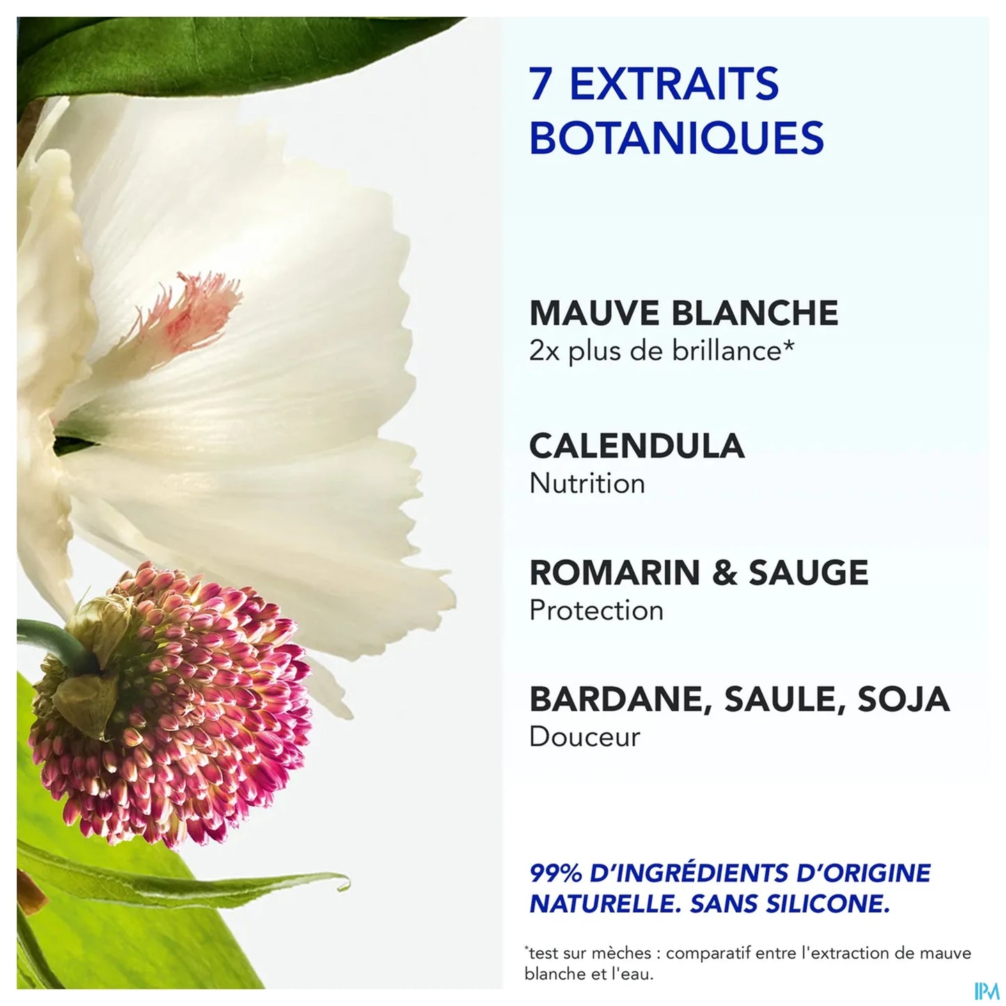 Phyto 7 Elixir Crème de Jour Universelle 100 mL
