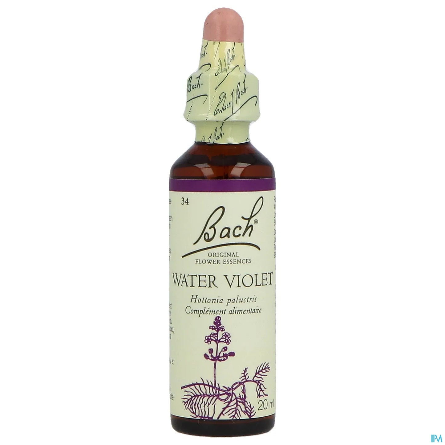 N°34 Water Violet 20ml