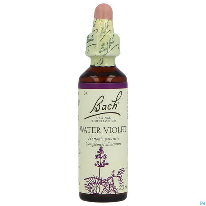 N°34 Water Violet 20ml