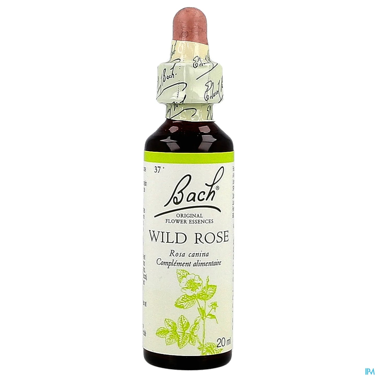 Rosa selvatica n. 37 20 ml