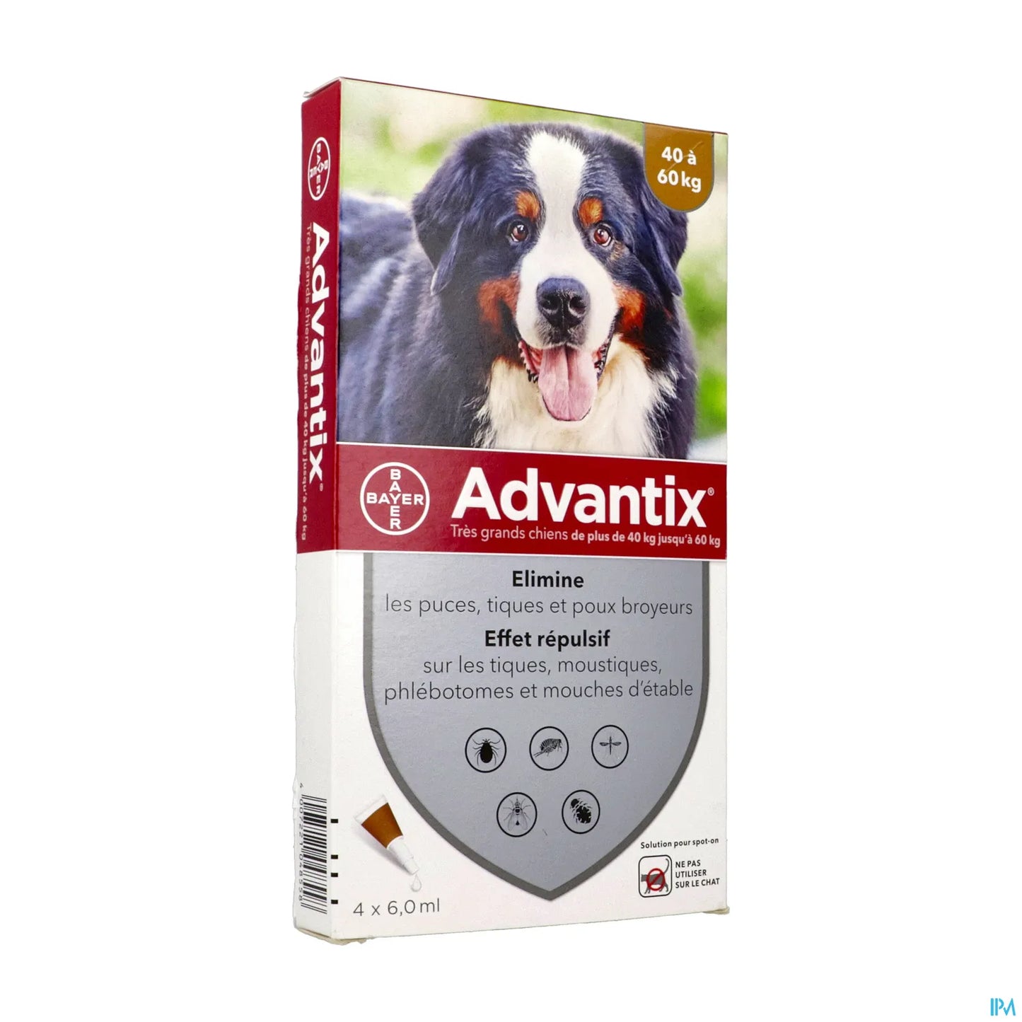 Traitement Pour Très Grand Chien 4 Pipettes de 6 mL 40 à 60 kg