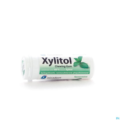 Xylitol Chewing Gum Menthe Verte 30G