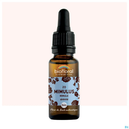 Mimulus Elixir 20 mL