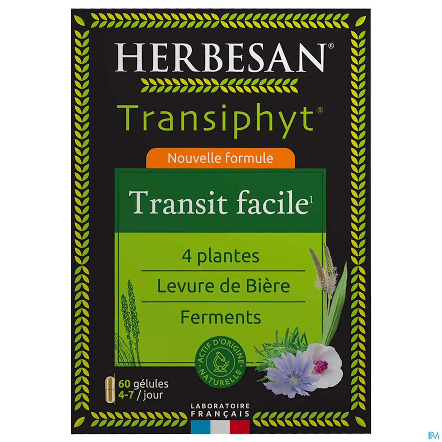 Transiphyt 60 Capsules Intestinal Transit