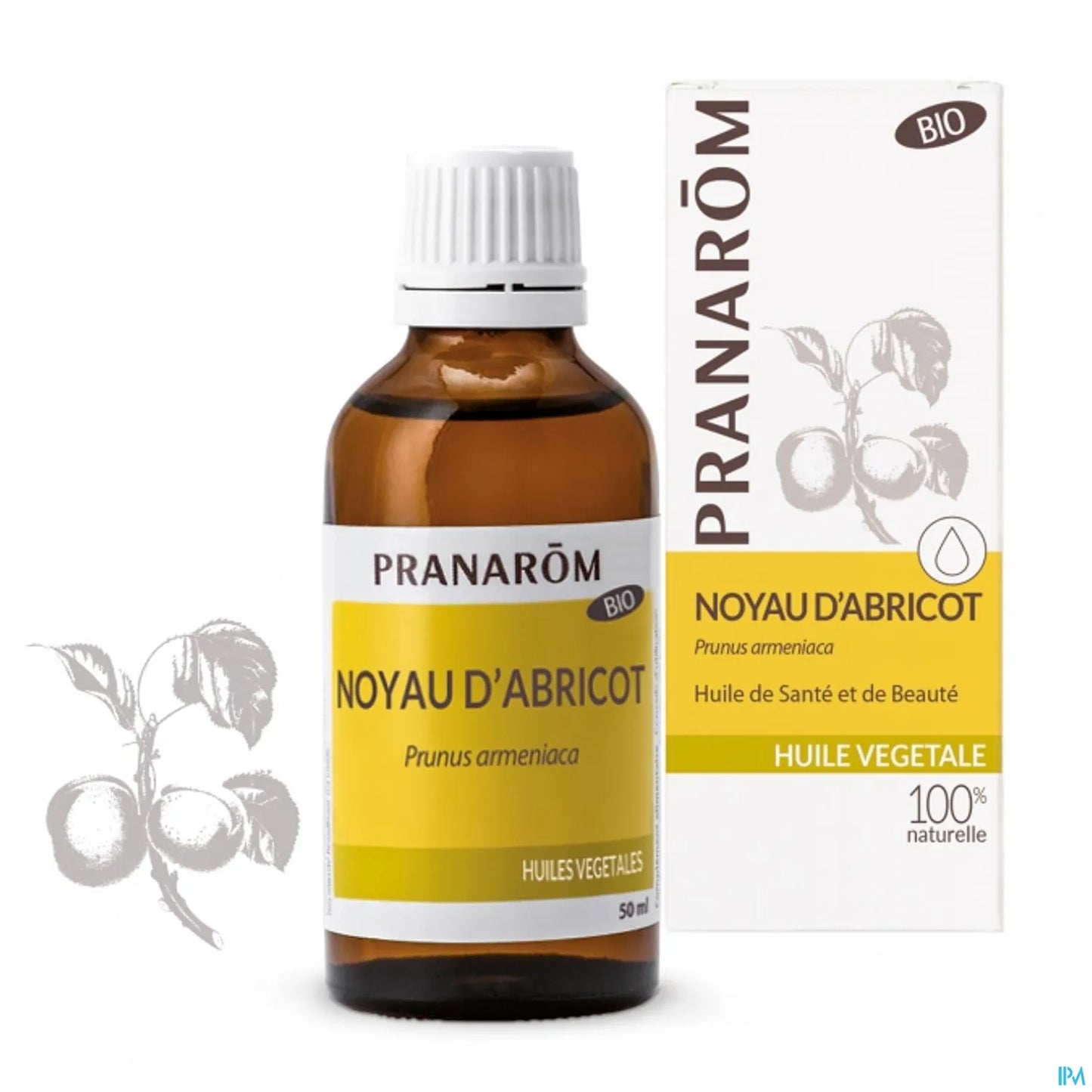 Huile Végétale de Noyau d'Abricot Bio 50ML