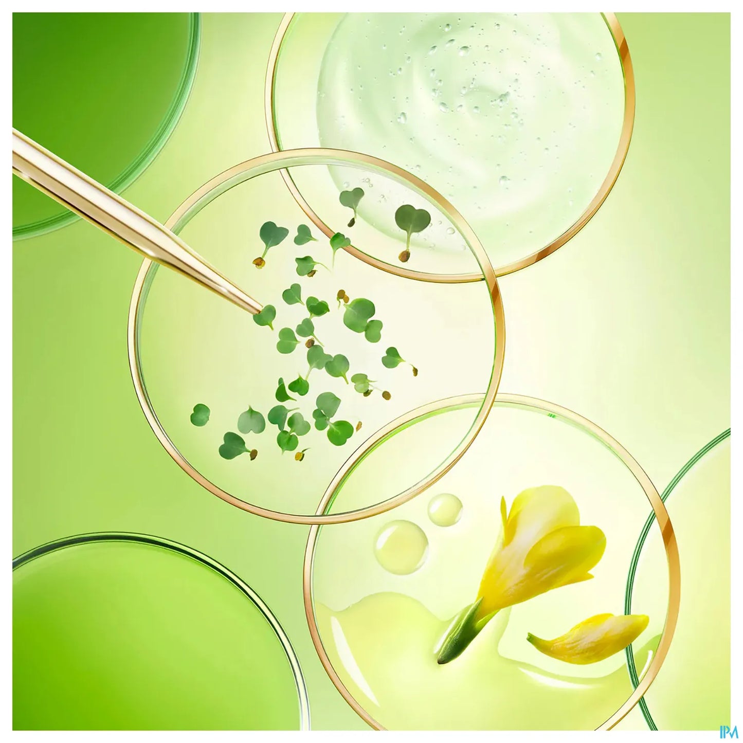 Nuxuriance Ultra Crème Mains 75 mL