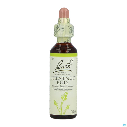 Chestnut Bud N°07 Fleurs de Bach 20ml