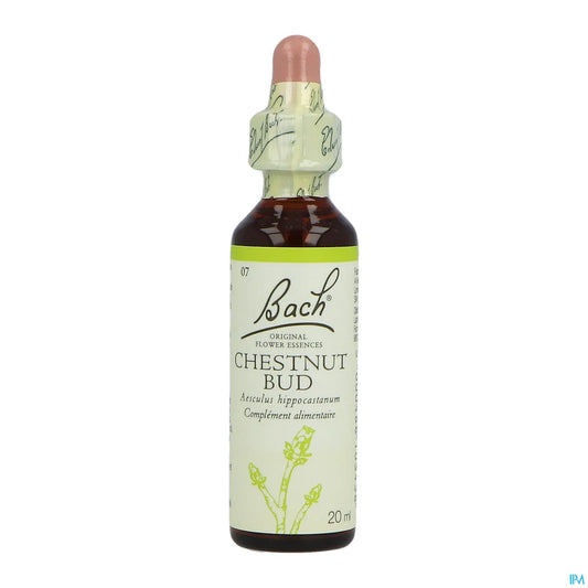 Chestnut Bud N°07 Fleurs de Bach 20ml