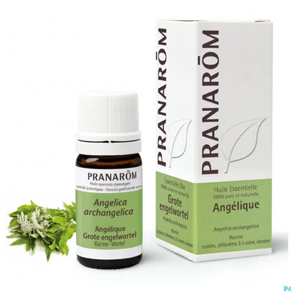 Huile Essentielle Angélique 5 mL