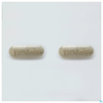 Arkogélules Bacopa Boîte de 45 Gélules