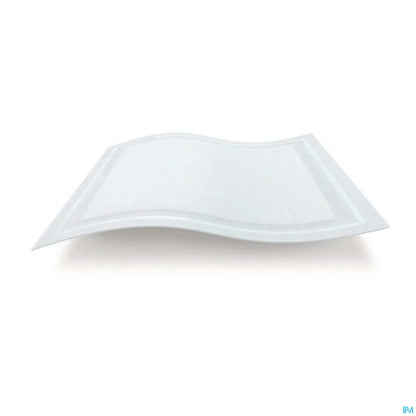 Kerramax Care 20x50 cm 10 unità