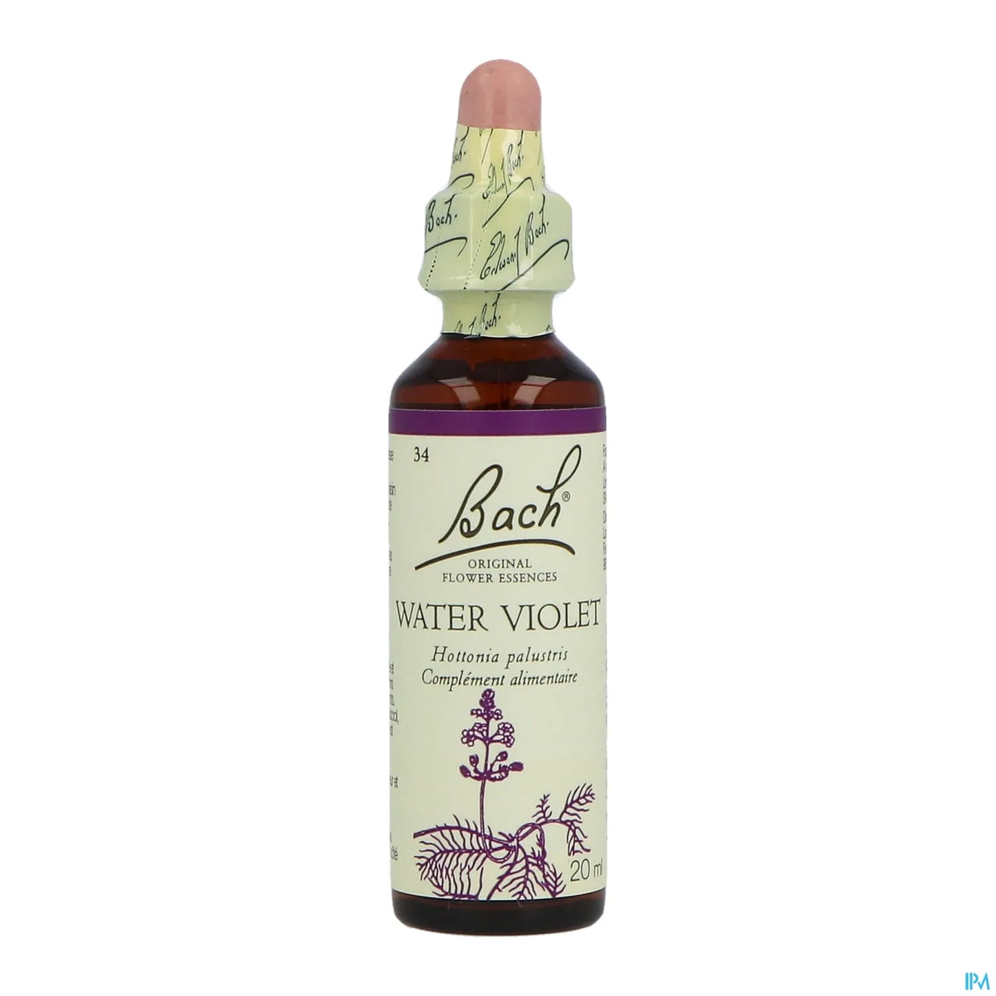 N°34 Water Violet 20ml