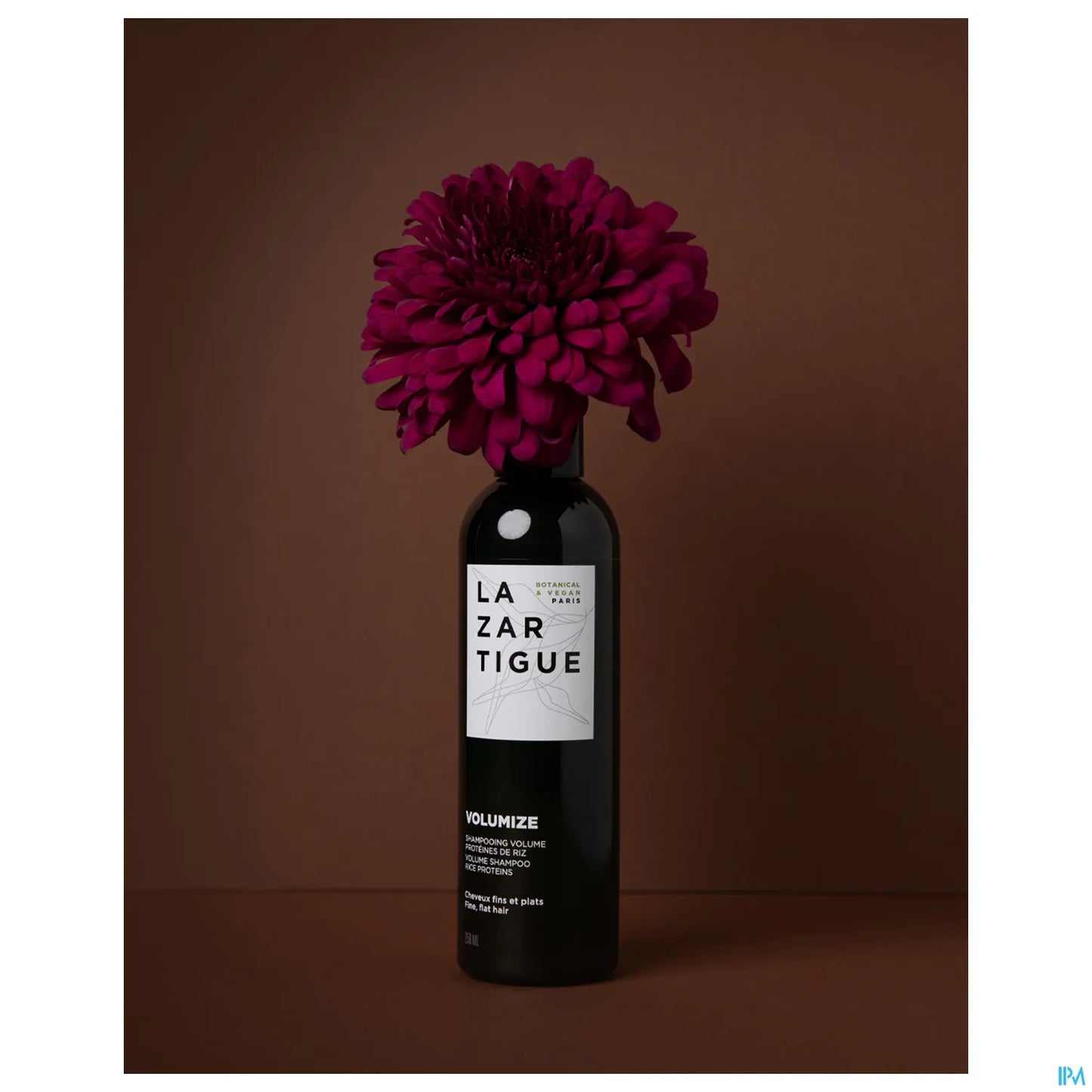 Volumize Shampoing Volume 250 ml