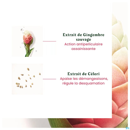 Neopur Shampooing Antipelliculaire Équilibrant Pellicules Grasses 150ml