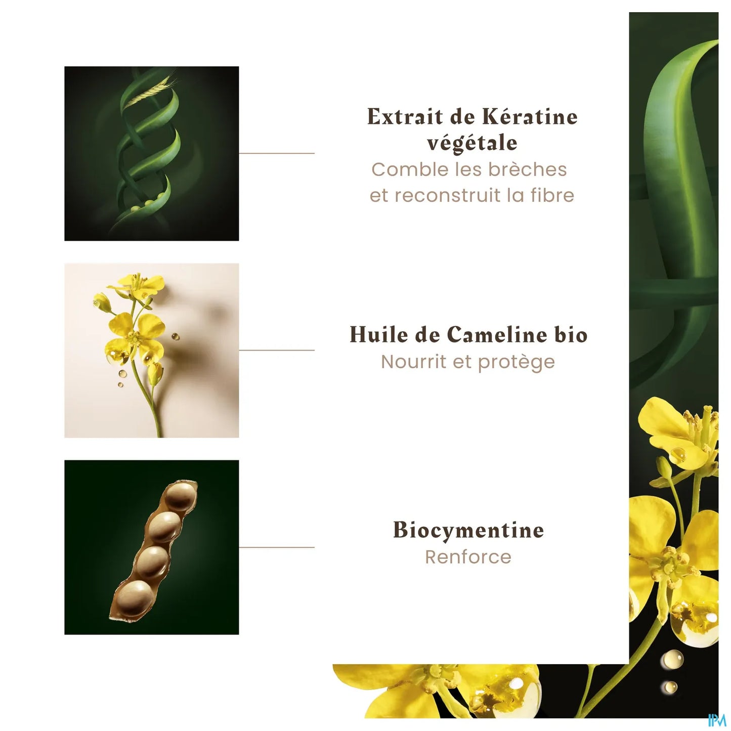 Absolue Kératine Shampooing Soin Réparateur 200ml