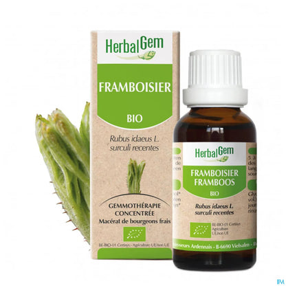 Macérât Mère Framboisier 30 mL Bio